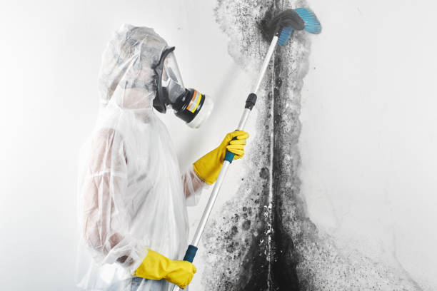 Best Air Quality Testing for Mold Spores  in Eastlake, OH