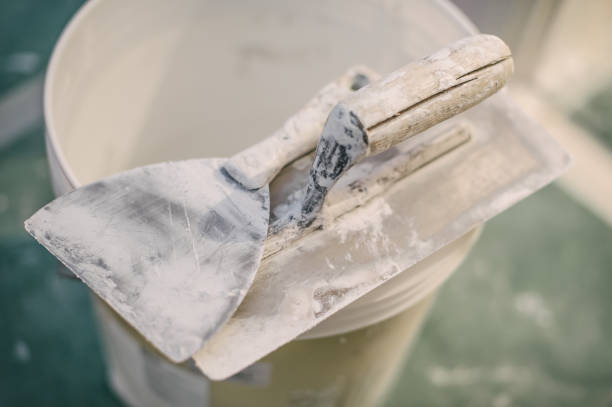 Best Mold Documentation for Insurance Claims  in Eastlake, OH